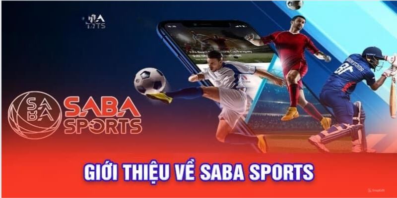 Saba Sport 33win1 – Sân Chơi Cá Cược Thể Thao Hấp Dẫn Với Nhiều Ưu Đãi